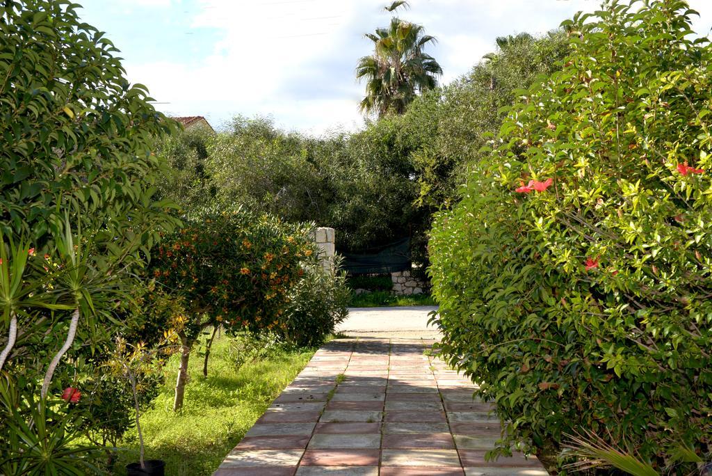 Andriani-michalis Studios
