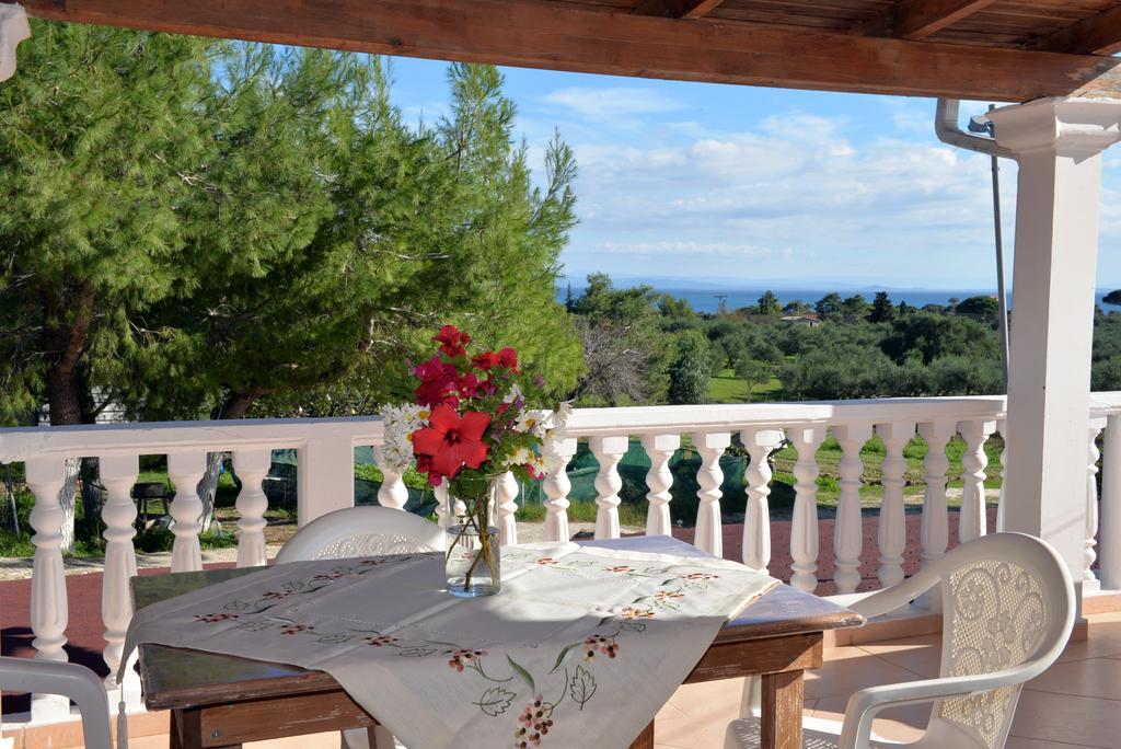 Andriani-michalis Studios *