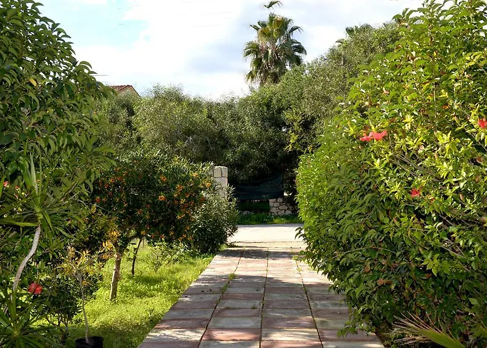 Andriani-Michalis Studios